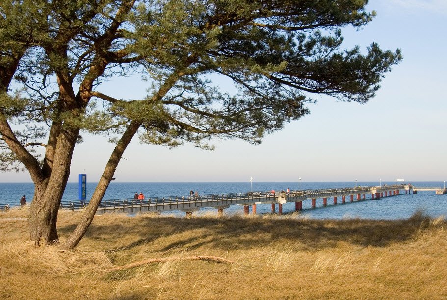 Zingst Hundestrand, Germany